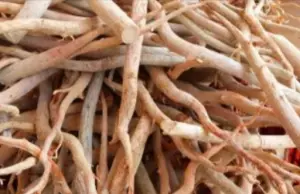 Vigor Boost Tongkat Ali Root